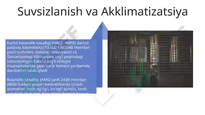 Balandlikka sakrash mavzusida taqdimot 4