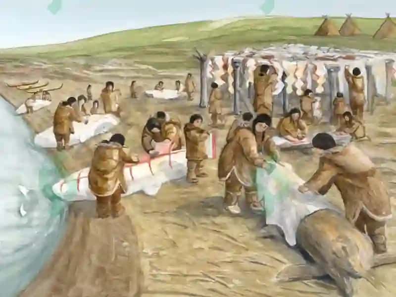 Aholining mexanik (migratsiya) harakati 4