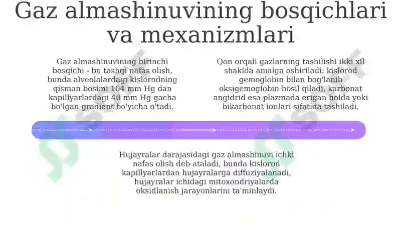 Organizmdagi gaz almashinuvi 4