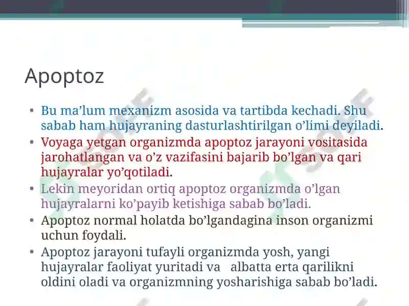 Apoptoz 4