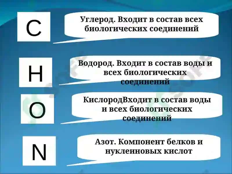 Химические элементы клетки 4