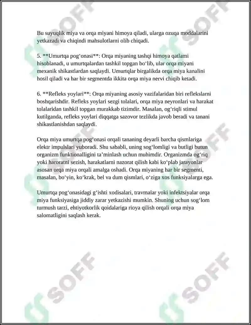 ORQA MIYA TUZULISHI. ORQA MIYA NERVLARI 4