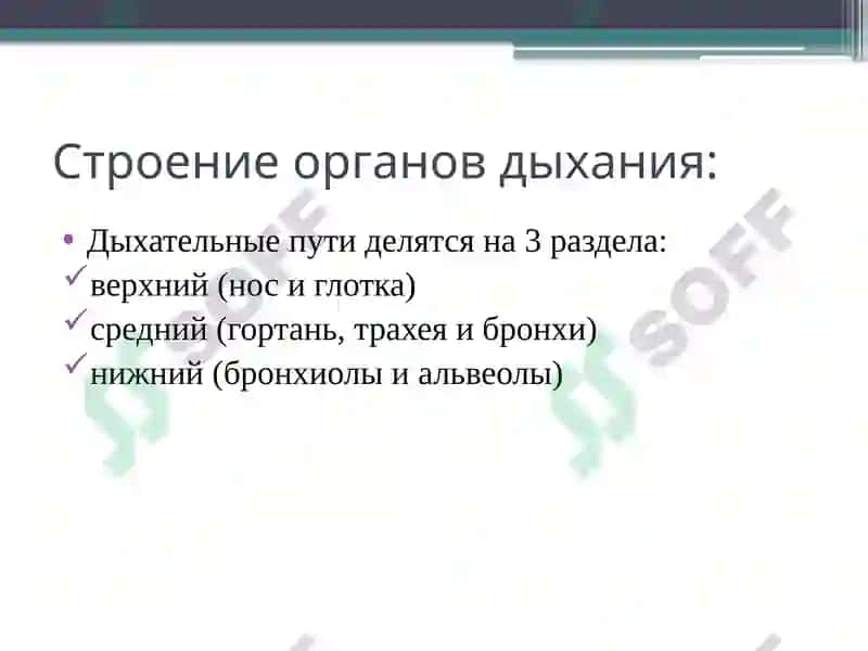 Анатомо-физиологические особенности органов дыхания детей 4