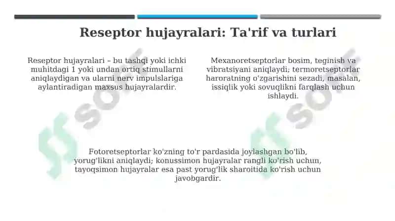 Qabul qilish, retseptor hujayralari, tuzilishi va funksiyasi 4