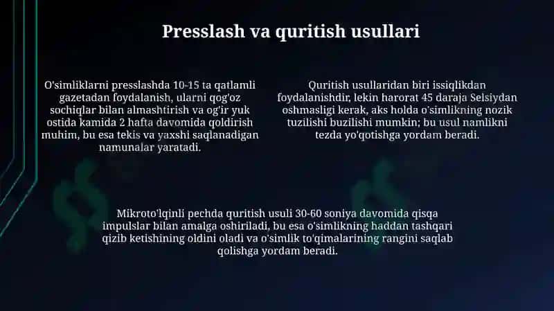 O'simliklar haqida ma'lumot 4