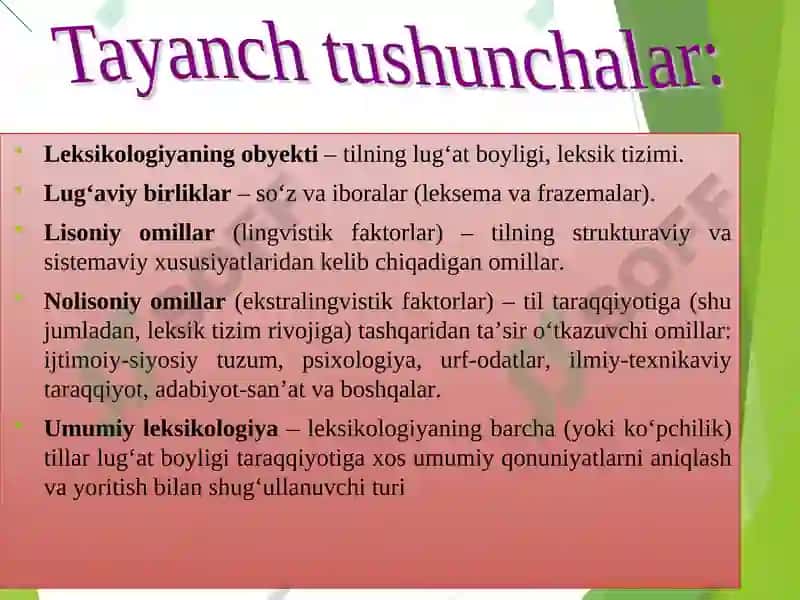 Hozirgi o‘zbek adabiy tilining leksik sathi va leksikologiyasi 4