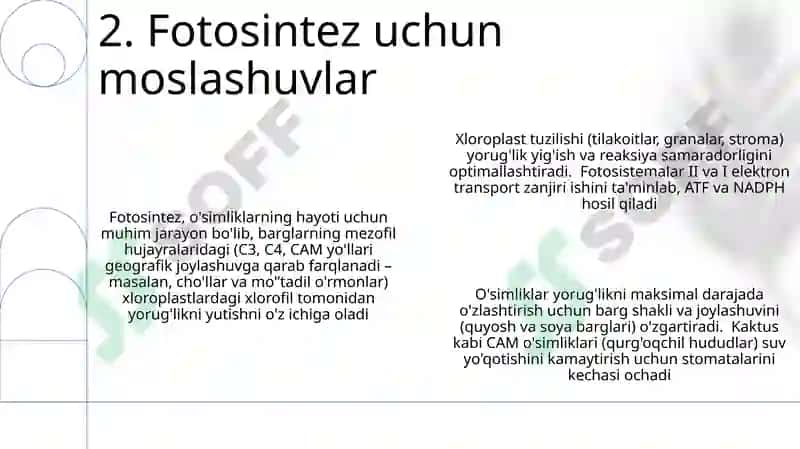 Oʻsimliklarda uglevodlar sintezi 4