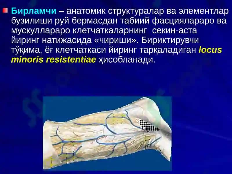 ЙИРИНГЛИ ЖАРАЁНЛАРНИ ЖАРРОҲЛИК ЙЎЛИ БИЛАН ДАВОЛАШНИНГ АСОСИЙ ТАМОЙИЛЛАРИ. 4