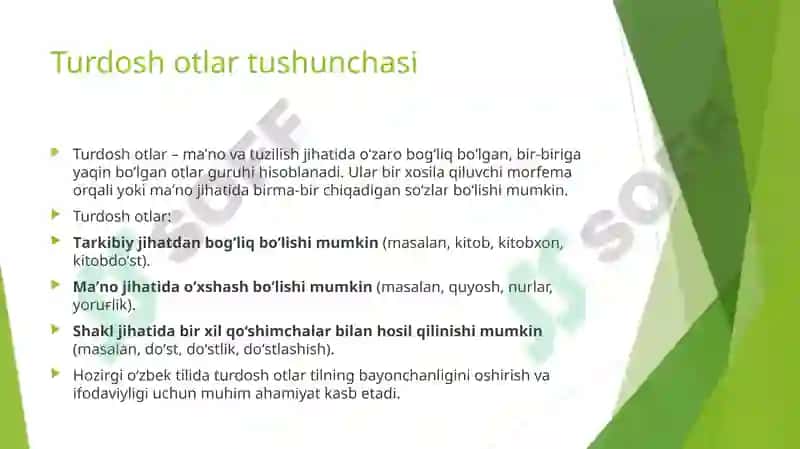 Ho'zirgi Oʻzbek adabiy tilida Turdosh Otlar 4