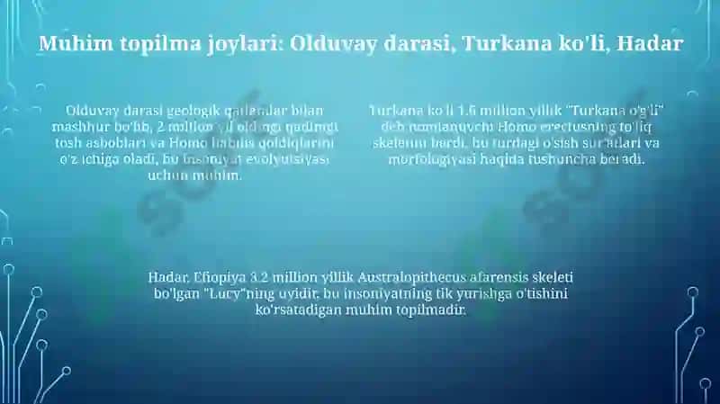 Sharqiy Afrikadagi paleoantropologik topilmalar 4