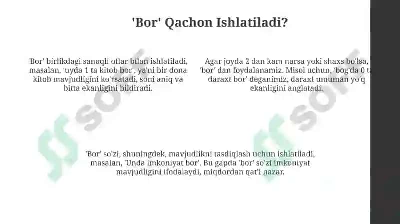 "Bor" va "Borlar": Asosiy Qoidalar 4