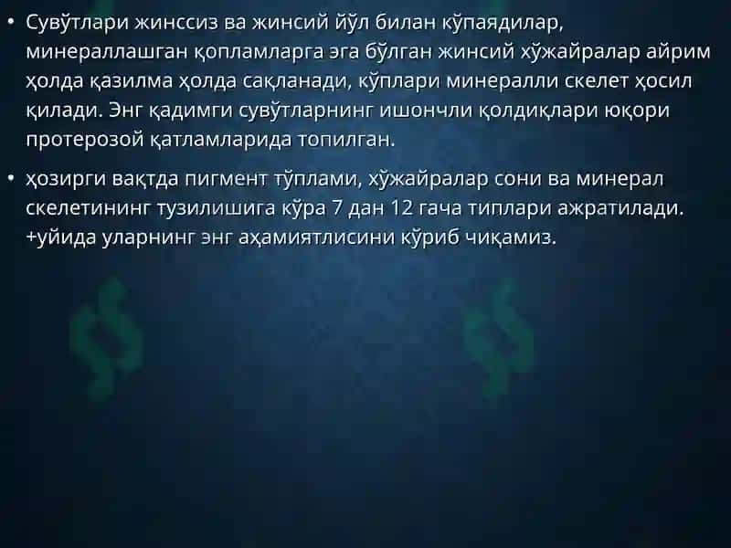 РНУТА ўСИМЛИКЛАР ДУНЁСИ 4