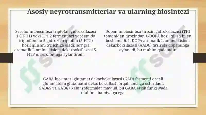 Neyromediatorlar biosintezi ahamiyati va kasalliklari 4