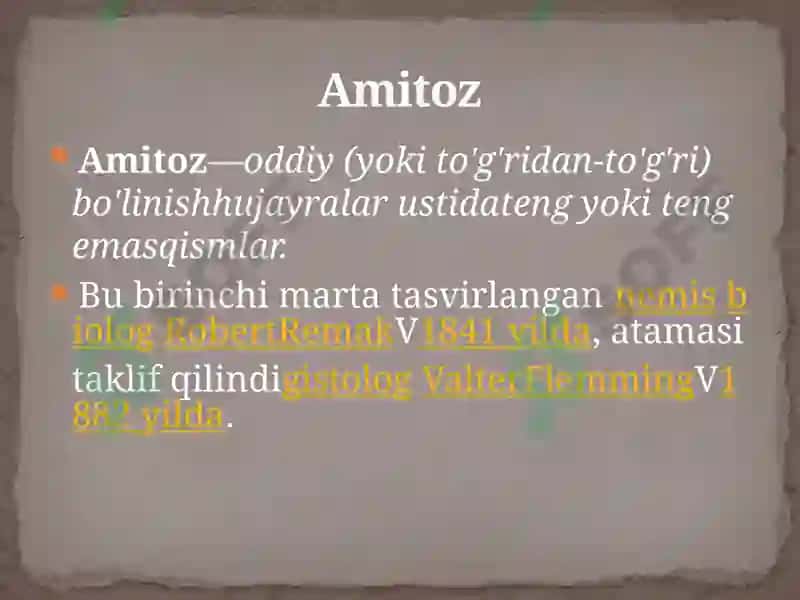 Hujayralarning bo’linish turlari 4