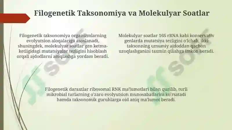Mikroorganizmlarning zamonaviy sistematikasi 4