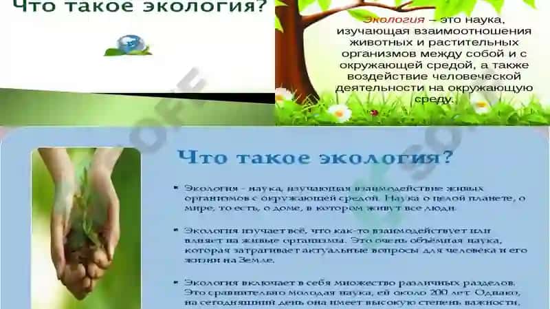 Химия и экология 4