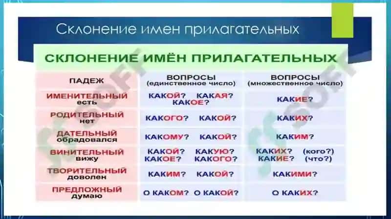 Абдуллаева Мавжуда Хабибуллаевна 4