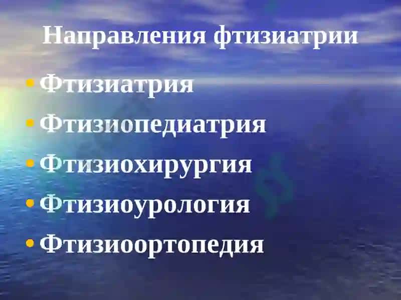 История развития туберкулёза 4