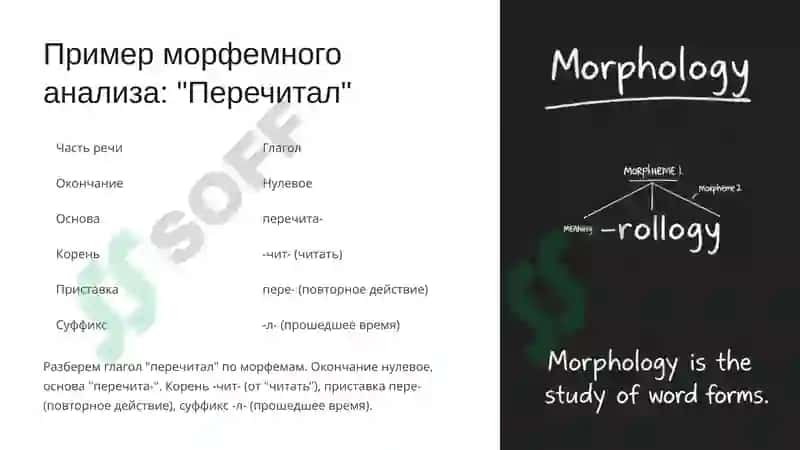 Морфемный анализ слова: Введение 4