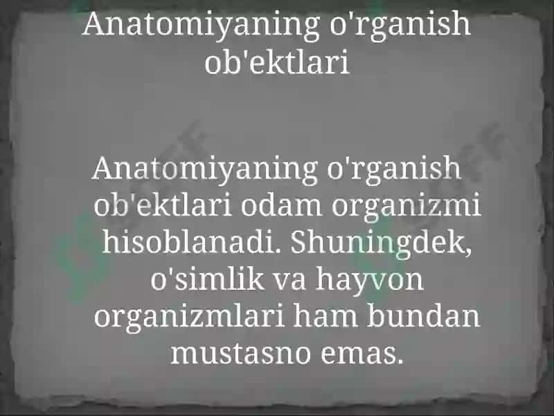 Kirish. Odam anatomiyasi fanining predmeti, maqsadi, vazifalari, o‘rganish usullari, biologiya fanlari  sistemasida tutgan o‘rni. Anatomiya fanining rivojlanish tarixi. Anatomiya tarmoqlari haqida tushuncha. 4