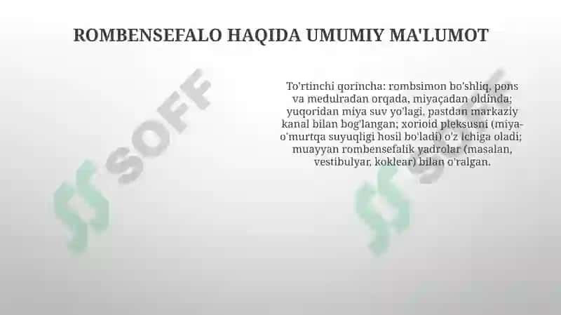 Miyachaning tuzilishi. IV-qorincha, Rombsimon bosh miya nervlari o'zaklarining joylashishi 4