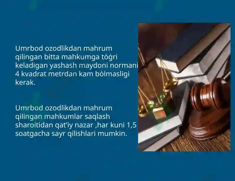 Umrbod ozodlikdan mahrum qilish tariqasidagi jazoni ijro etish 4