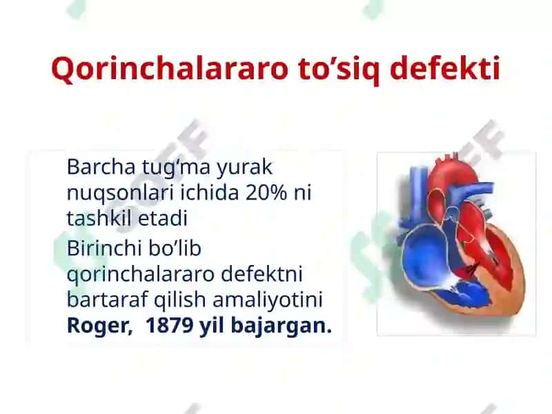Yurak nuqsonlari rivojlanishi etiologiyasi patogenezi va davolash usullari miokard va miokardiodistrofiyalarni davolashda qoʻllaniladigan dori vositalarining farmakodinamikasi 4