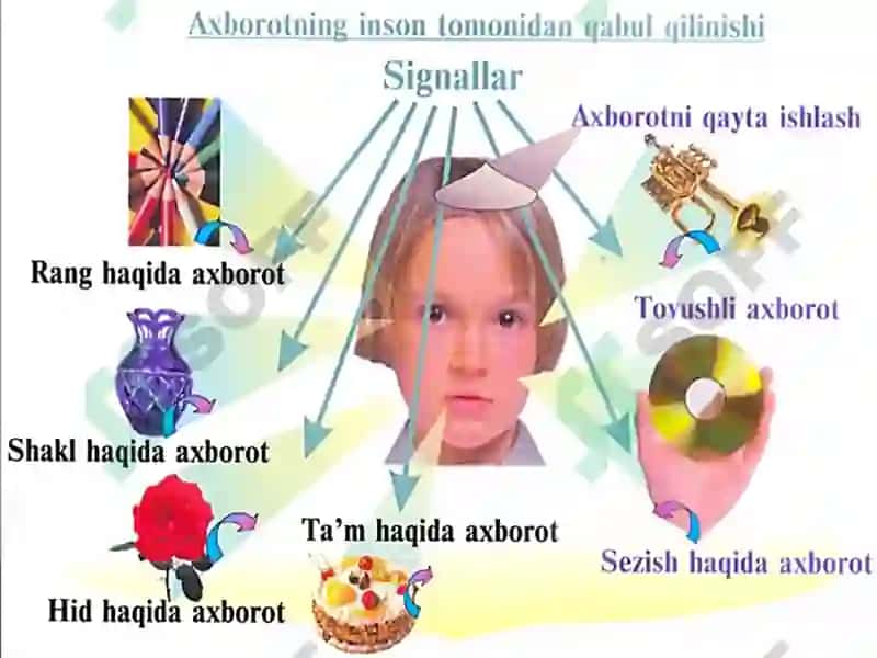 Axborot matnlari kiritish va mediamadaniyat 4