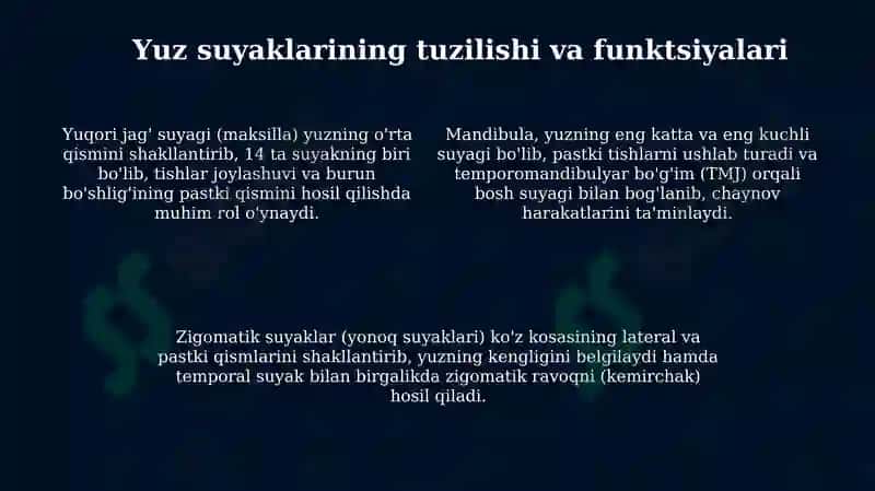 Yuz va jag' suyaklarining osteologiyasi 4