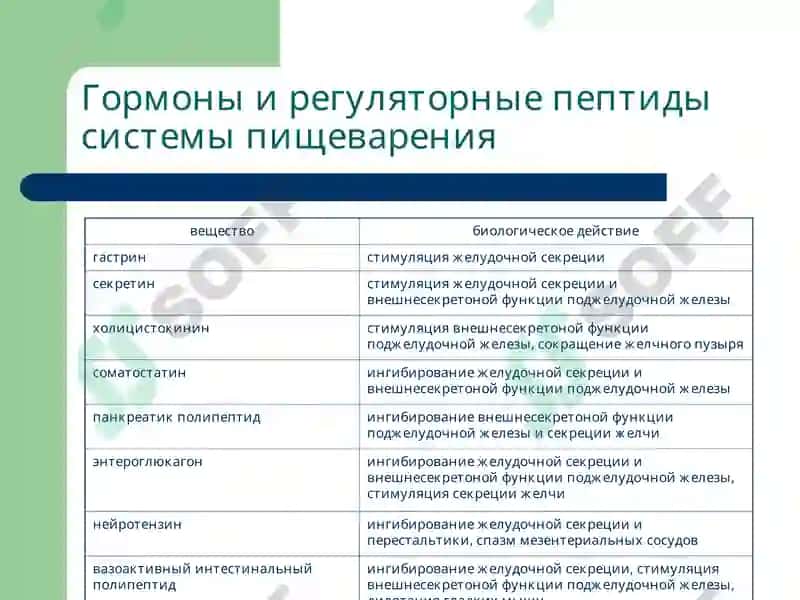 Патофизиология системы пищеварения 4