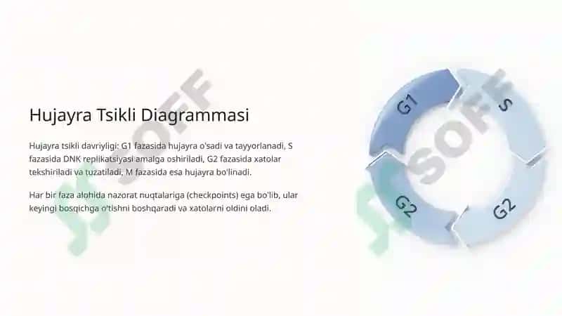 Hujayra Tsikli va Hujayra Replikatsiyasi Boshqaruvi Mexanizmlari 4