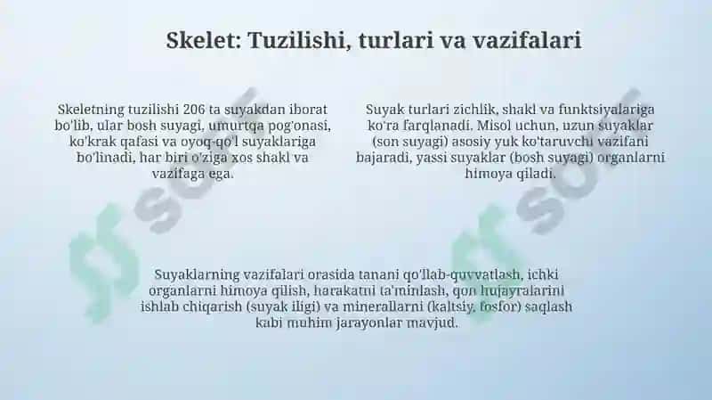 Tayanch harakatlanish sistemasi. Skelet va muskullar 4