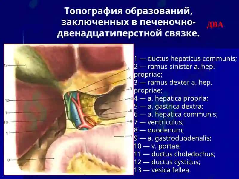 Острый холецистит и его осложнения 4