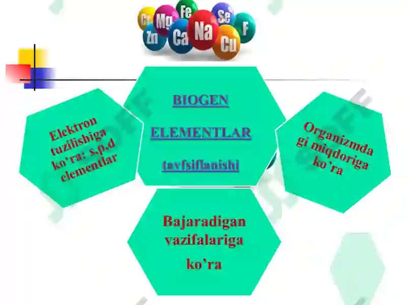 Biogen Elementlar Kimyosi 4