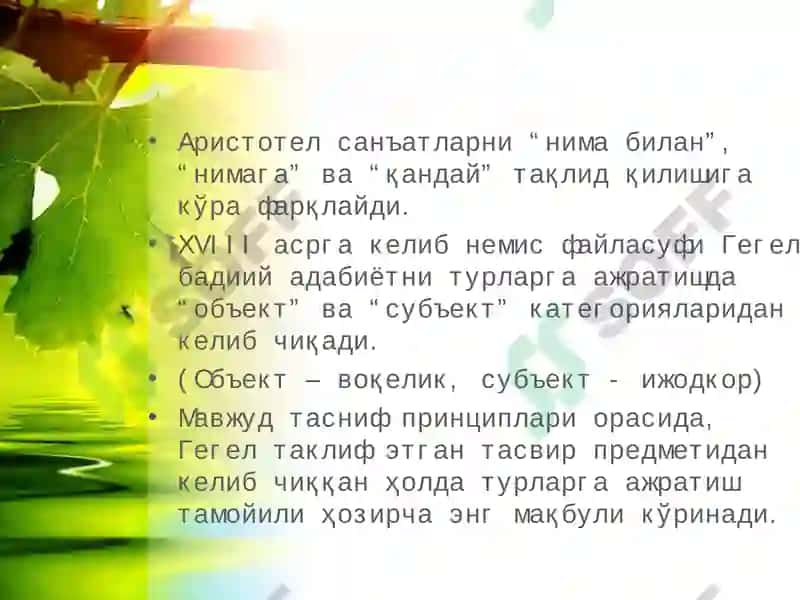 Адабий тур тушунчаси 4