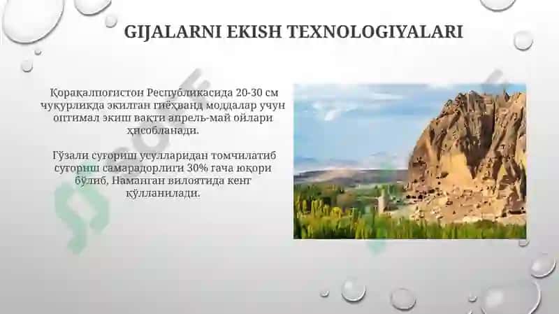 Gijalar 4