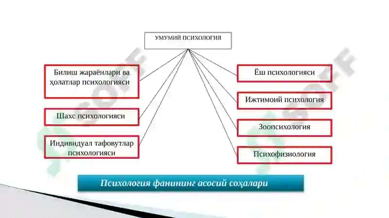 Психологиянингасосий тамойиллари 4