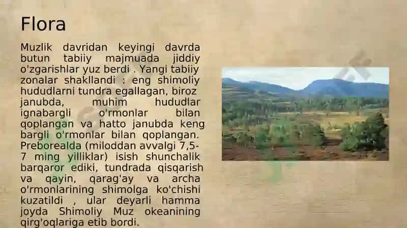 Mezolit va neolitdavri 4