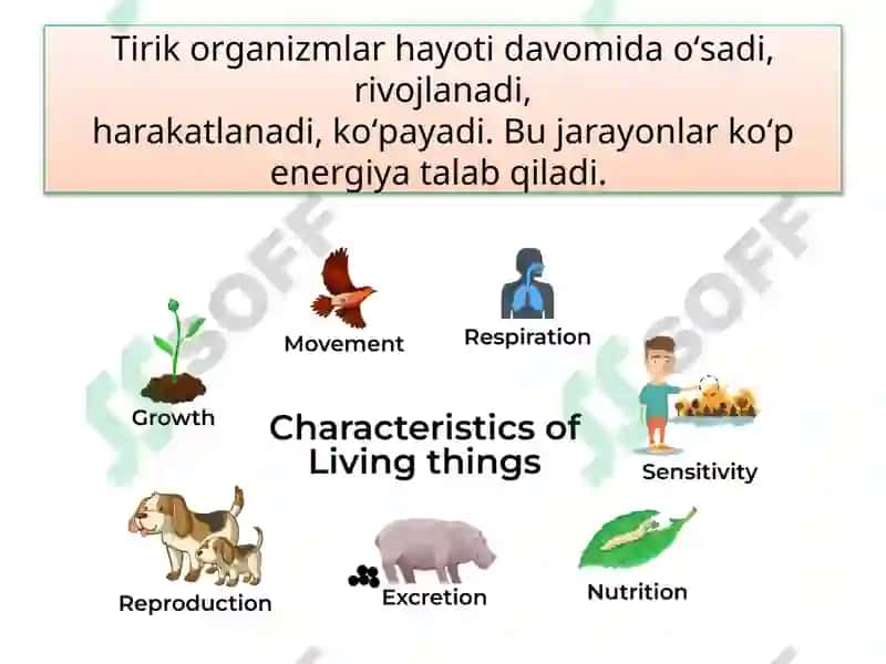 MAVZU.TIRIK ORGANIZM-LARNING OZIQLANISHI 4