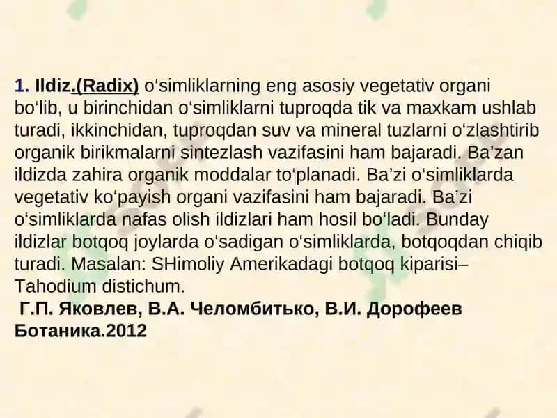 Ildiz va uning vazifasi, tiplari va tuzilishi 4