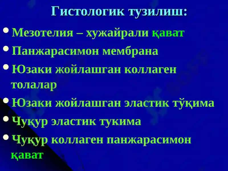Туберкулёз плеврити 4
