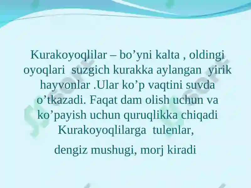 Dengiz sutemizuvchilari: kurakoyoqlilar va kitsimonlarturkumlari 4