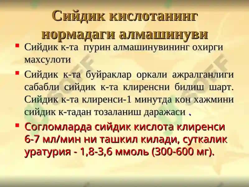 ПОДАГРА 4