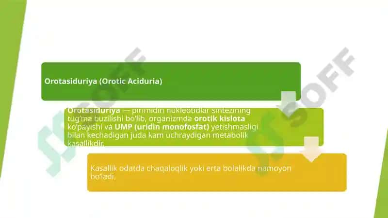 Orotasiduriya uning sabablari va uridin bilan davolash mexanizmi 4