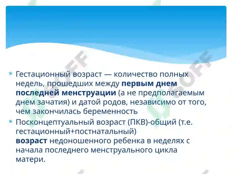 Организация медицинской помощи новорожденным 4
