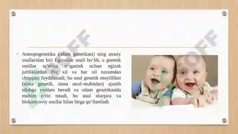 Antropogenetik usul Egizaklar usuli 4