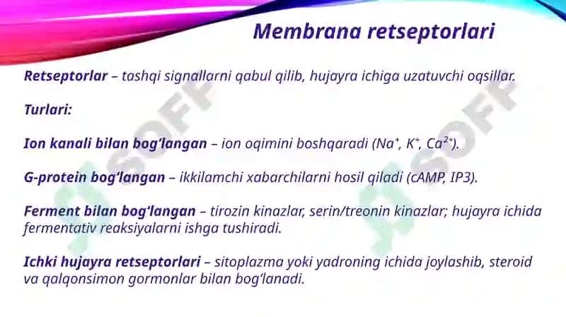 Biomembranalar. Membrana retseptorlari. Hujayralarga signallarni oʻtkazish yoʻllari 4