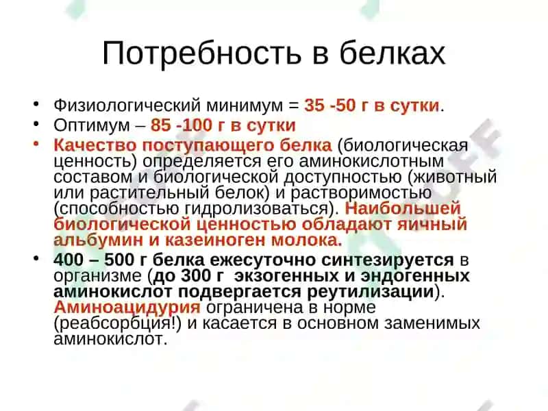 Обмен белка и аминокислот 4