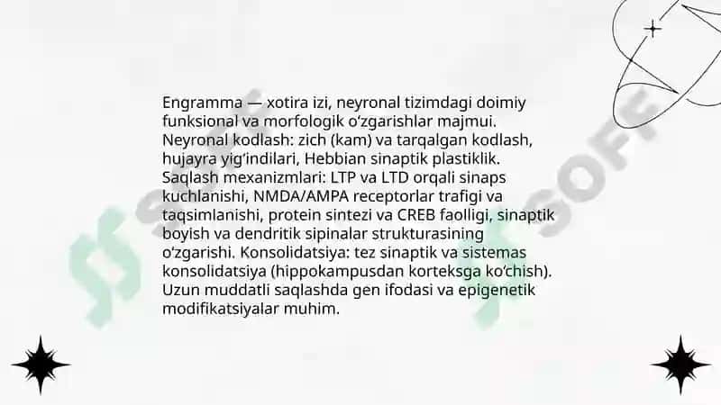 Xotira va hayolning nerv fiziologik asoslari turlari va jarayonlari 4