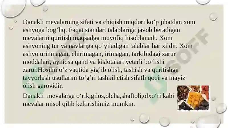 Danakli mevalarni zamonaviy quritish va saqlash usullari 4